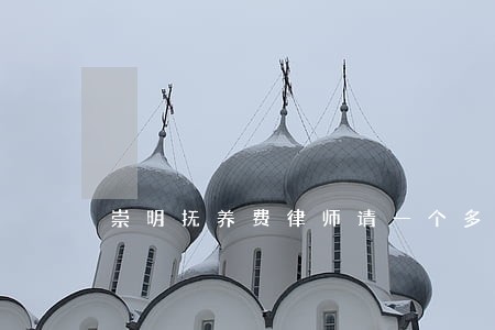 崇明抚养费律师请一个多少钱 崇明抚养费律师请一个多少钱