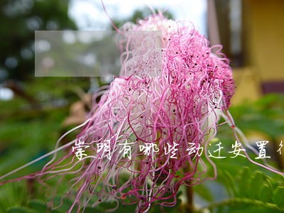崇明有哪些动迁安置律师 崇明有哪些动迁安置律师