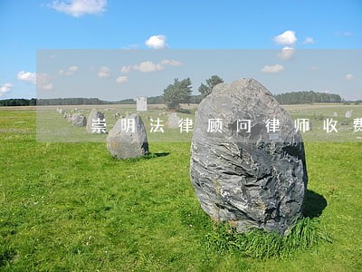 崇明法律顾问律师收费 崇明法律顾问律师收费