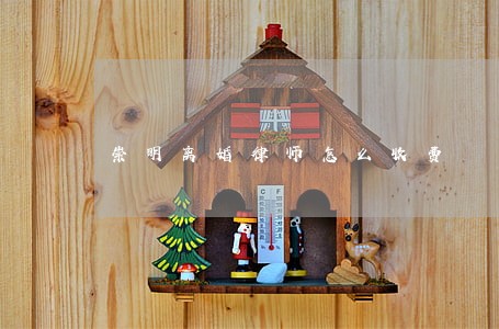 崇明离婚律师怎么收费 崇明离婚律师怎么收费