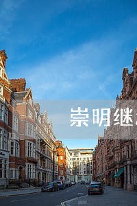 崇明继承权纠纷律师 崇明继承权纠纷律师
