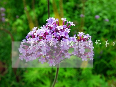 崇明贪污贿赂律师在线 崇明贪污贿赂律师在线
