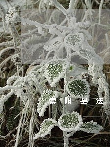 崇阳县法律顾问在线律师 崇阳县法律顾问在线律师