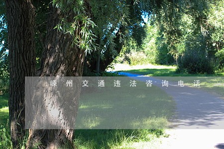 嵊州交通违法咨询电话 嵊州交通违法咨询电话