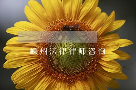 嵊州法律律师咨询 嵊州法律律师咨询