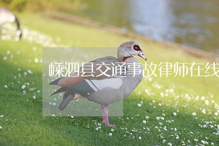 嵊泗县交通事故律师在线免费咨询