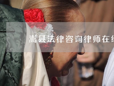 嵩县法律咨询律师在线 嵩县法律咨询律师在线