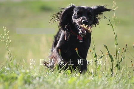 嵩县法院上班时间 嵩县法院上班时间
