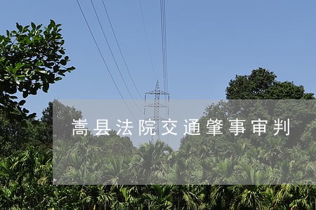 嵩县法院交通肇事审判