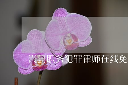 嵩县职务犯罪律师在线免费咨询 嵩县职务犯罪律师在线免费咨询