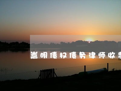 嵩明债权债务律师收费标准 嵩明债权债务律师收费标准