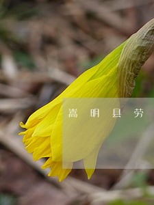 嵩明县劳动工伤法律咨询 嵩明县劳动工伤法律咨询