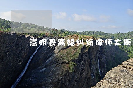嵩明县离婚纠纷律师大概多少钱