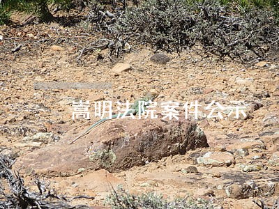 嵩明法院案件公示 嵩明法院案件公示