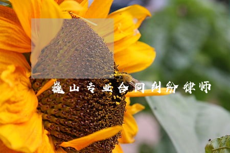 巍山专业合同纠纷律师 巍山专业合同纠纷律师