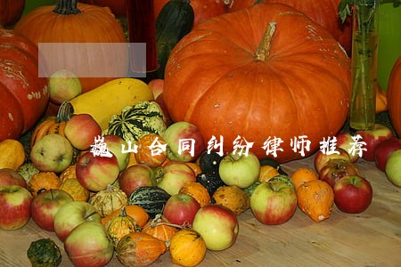 巍山合同纠纷律师推荐