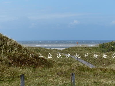 川汇区法院执行庭庭长 川汇区法院执行庭庭长