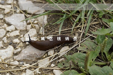 州下城区钱炳勇