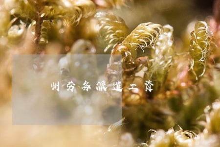 州劳务派遣工资