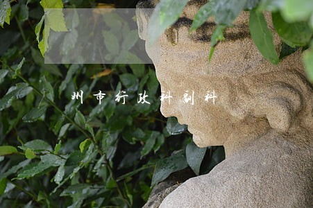 州市行政科副科