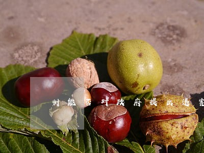 州能否对政府提出违宪诉讼 州能否对政府提出违宪诉讼
