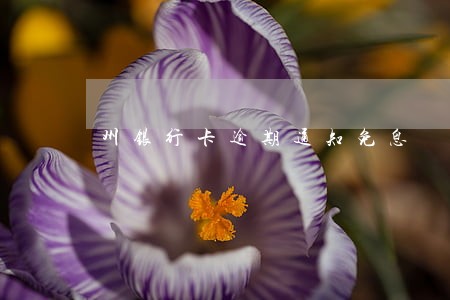 州银行卡逾期通知免息