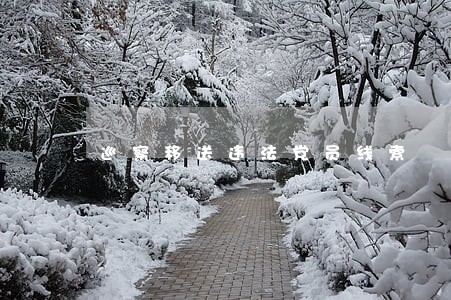 巡察移送违法党员线索 巡察移送违法党员线索