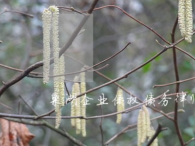 巢湖企业债权债务律师