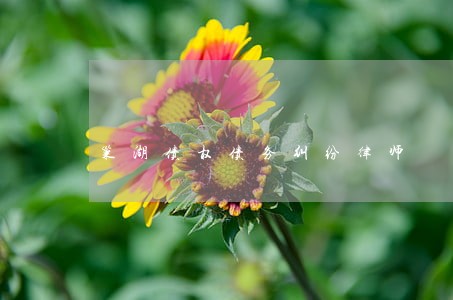 巢湖债权债务纠纷律师 巢湖债权债务纠纷律师