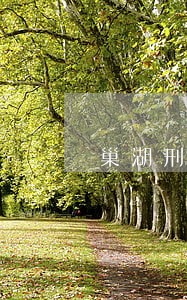 巢湖刑事律师辩护经验丰富
