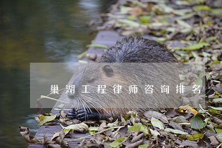巢湖工程律师咨询排名 巢湖工程律师咨询排名