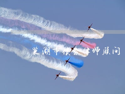 巢湖市债务律师顾问