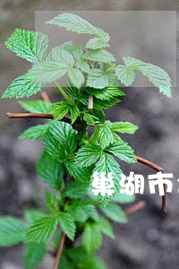 巢湖市合同纠纷律师 巢湖市合同纠纷律师