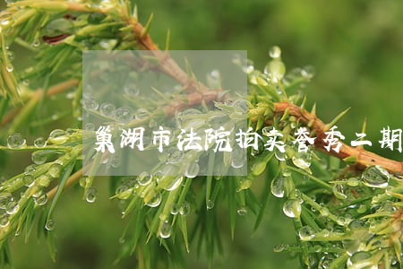 巢湖市法院拍卖誉秀二期 巢湖市法院拍卖誉秀二期