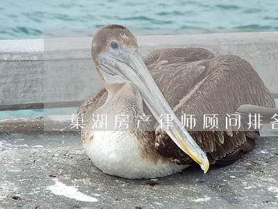 巢湖房产律师顾问排名 巢湖房产律师顾问排名