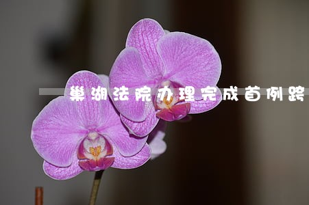 巢湖法院办理完成首例跨域立案