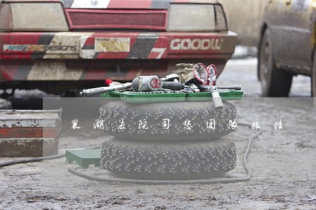 巢湖法院司惩团队狼性