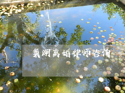 巢湖离婚律师咨询 巢湖离婚律师咨询