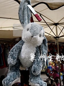巢湖金融借贷律师排名