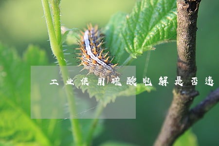 工业使用硫酸电解是否违法 工业使用硫酸电解是否违法