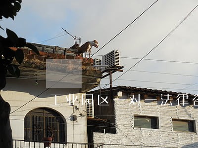 工业园区一对一法律咨询