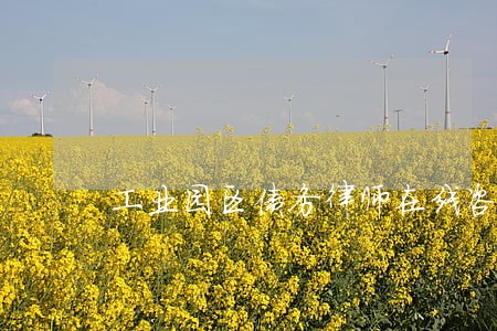 工业园区债务律师在线咨询 工业园区债务律师在线咨询