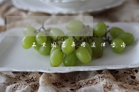 工业园区再婚法律咨询 工业园区再婚法律咨询