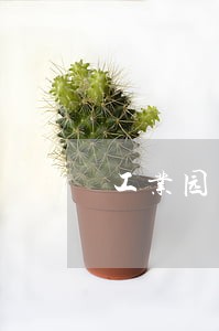 工业园区土地法律咨询 工业园区土地法律咨询