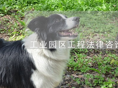 工业园区工程法律咨询处