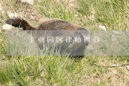工业园区律师咨询 工业园区律师咨询