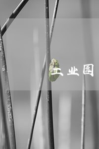 工业园区房产诉讼律师 工业园区房产诉讼律师