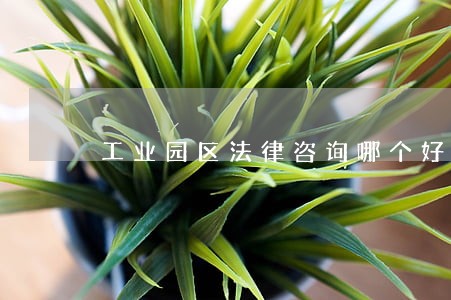 工业园区法律咨询哪个好 工业园区法律咨询哪个好