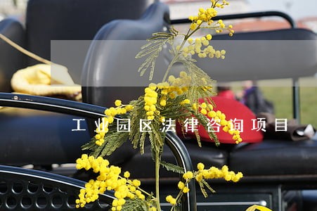 工业园区法律咨询项目 工业园区法律咨询项目