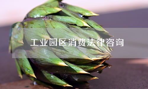 工业园区消费法律咨询 工业园区消费法律咨询